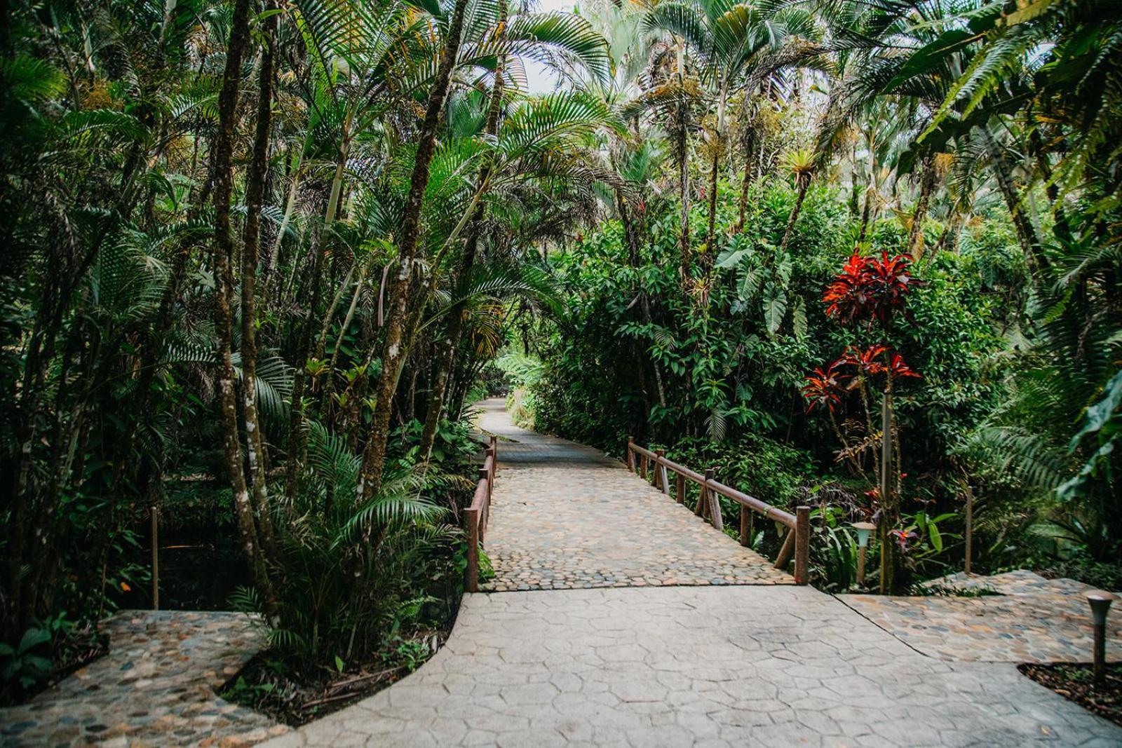 Arahuana Jungle Resort & Spa Tena Exterior photo